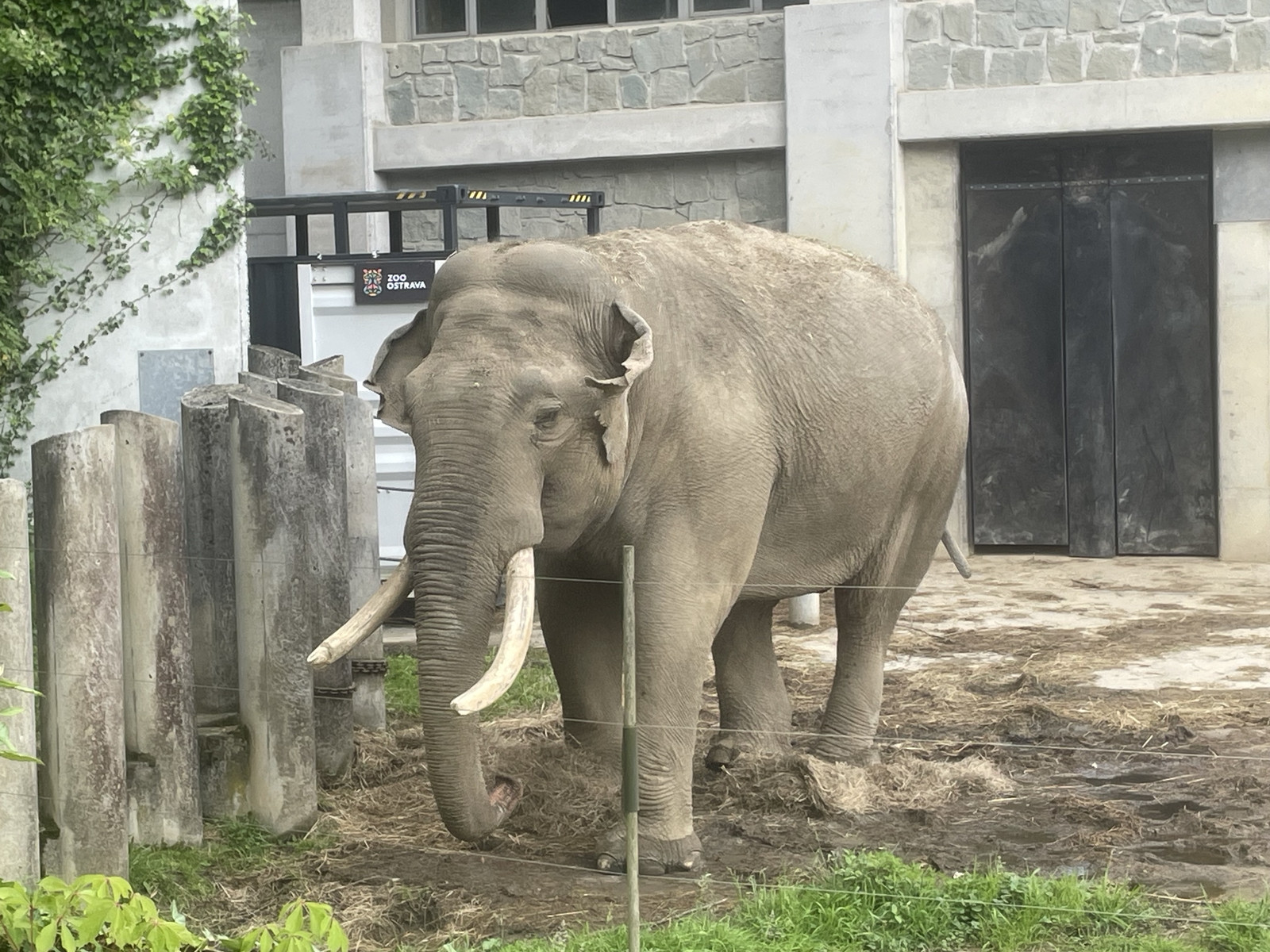 Výlet do ZOO Ostrava